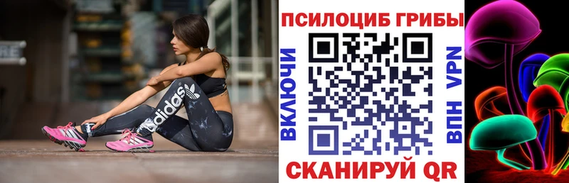 Псилоцибиновые грибы мицелий  Кирс 